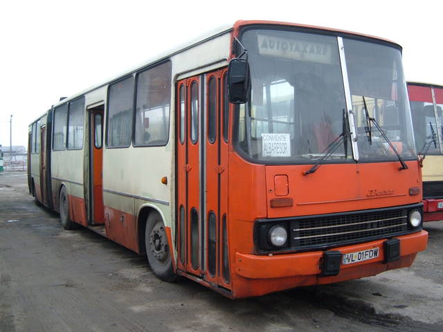Autobuzele din Ramnicu Valcea _BVL01FDW-Dp:1